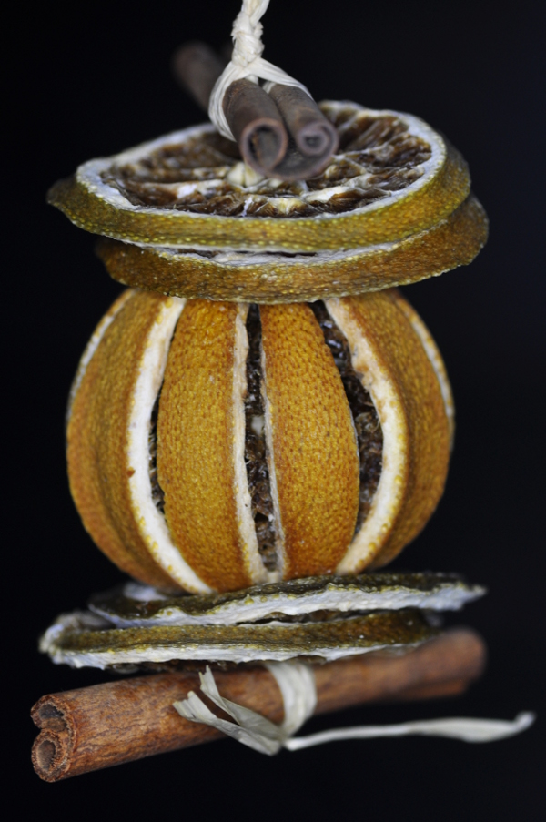 Christmas Decoration - Dried Fruit