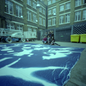 Ulltraviolet: World Record Cyanotype